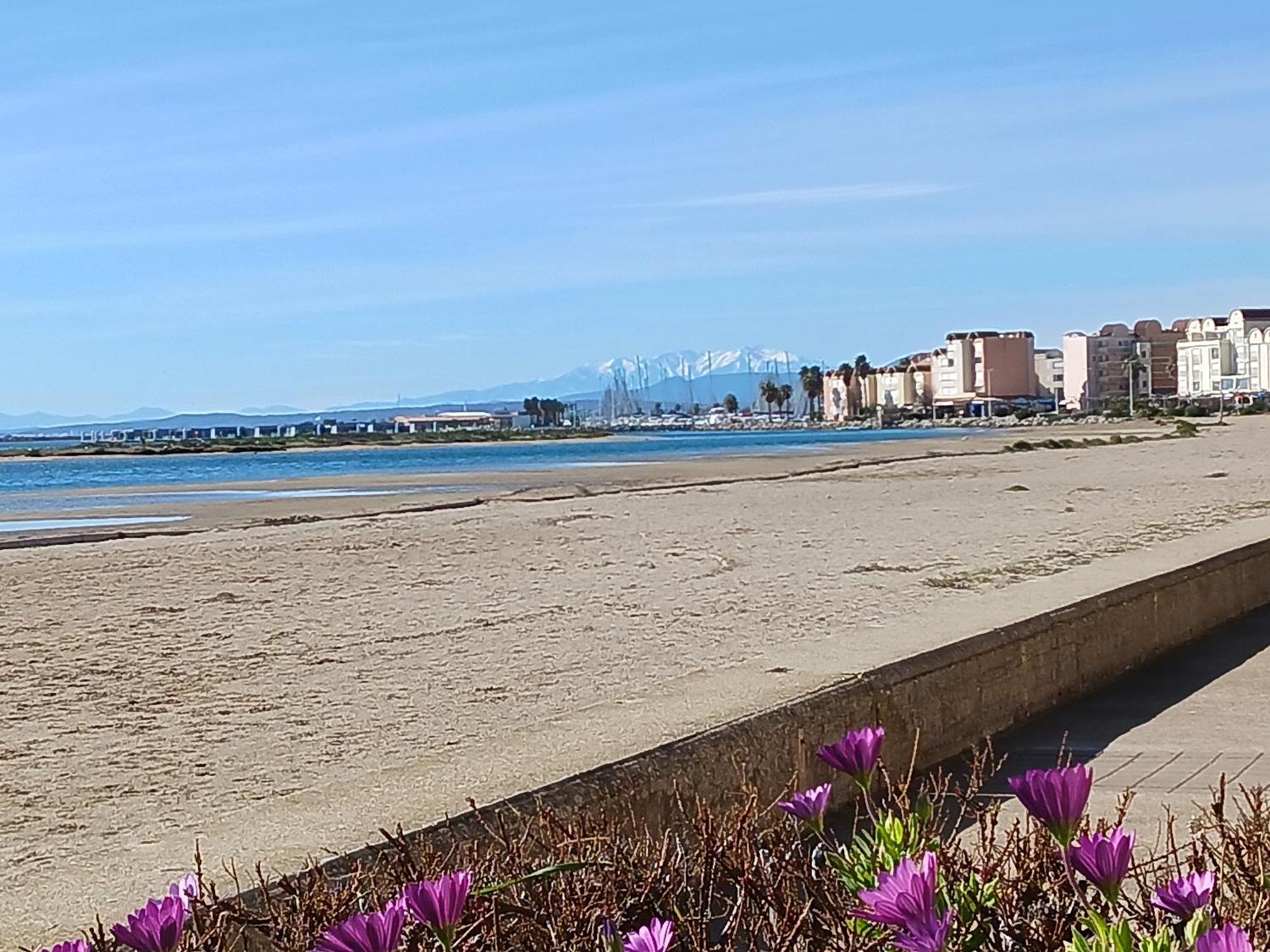 Appartement Avec Magnifique Vue Sur Mer Gruissan Buitenkant foto